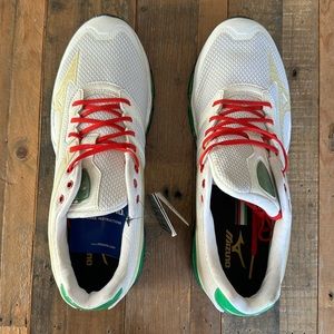 Mizuno Lamborghini Shoes size 11.5 (Brand New Never Worn No Box)